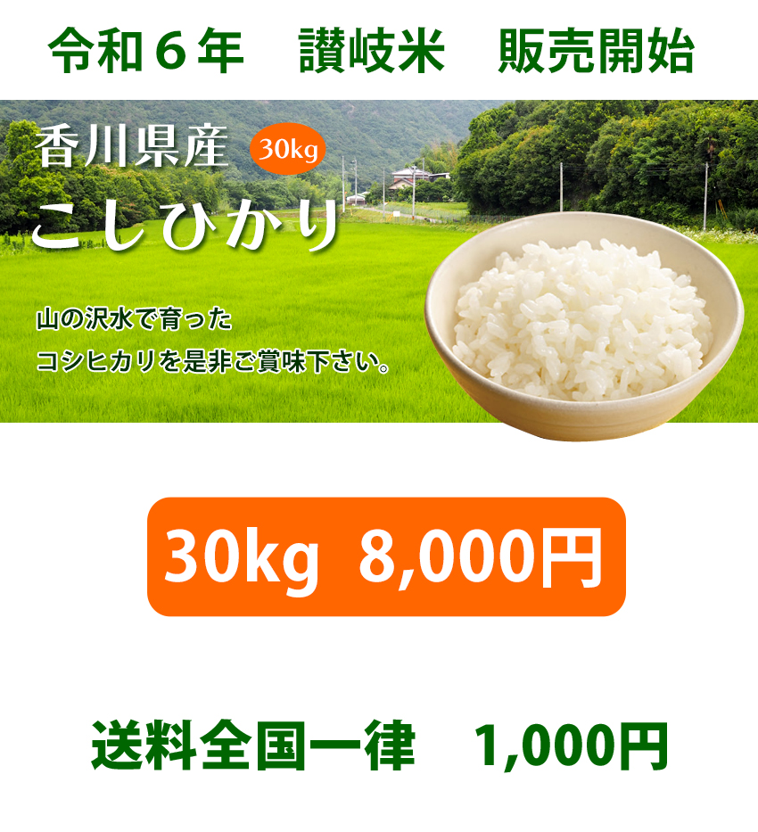 令和4年 香川県産コシヒカリ（讃岐米、 水主米）販売